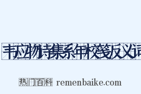 韦应物诗集系年校笺反义词是什么意思的图片
